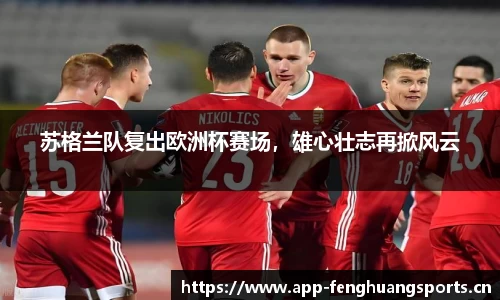 凤凰体育官网